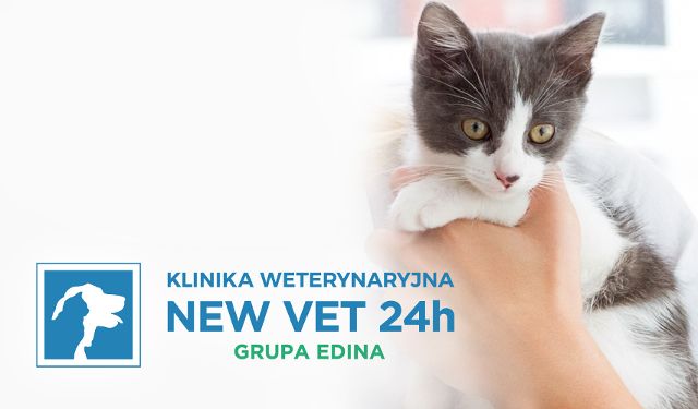 Klinika Weterynaryjna New Vet 24h Grupa EDINA