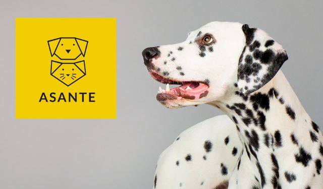 Przychodnia Weterynaryjna Asante