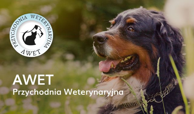 Przychodnia Weterynaryjna AWET