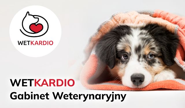 Gabinet Weterynaryjny WETKARDIO