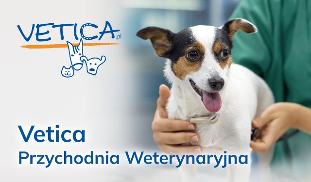Przychodnia Weterynaryjna "VETICA" s.c