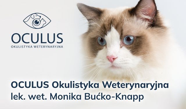 OCULUS Okulistyka Weterynaryjna lek. wet. Monika Bućko-Knapp