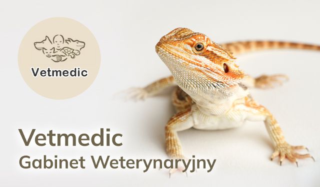 Gabinet Weterynaryjny Vetmedic
