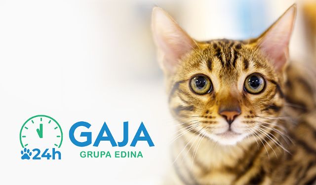 Przychodnia Weterynaryjna Gaja Grupa EDINA