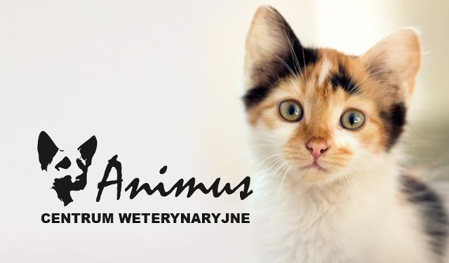 Centrum Weterynaryjne Animus