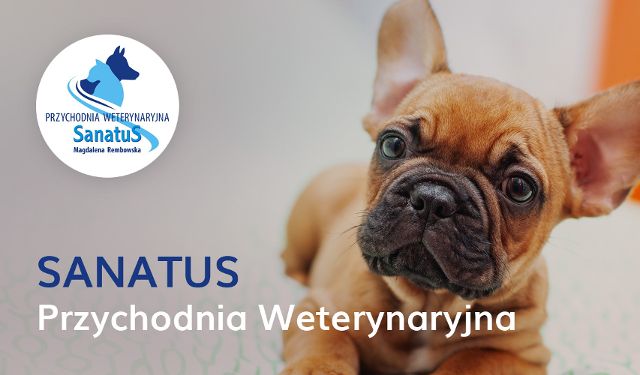 Przychodnia Weterynaryjna Sanatus Magdalena Rembowska