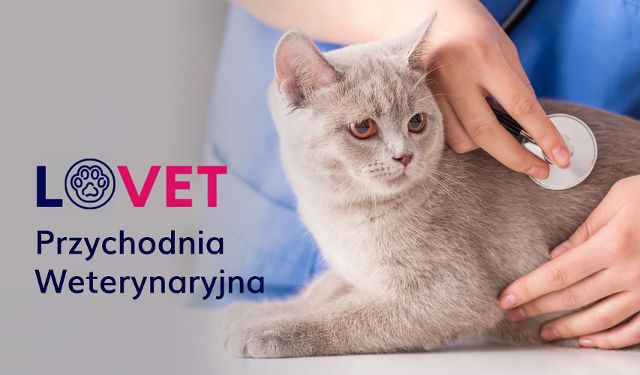 Przychodnia Weterynaryjna Lovet