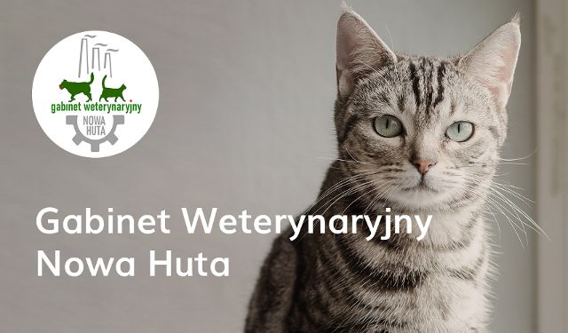 Gabinet Weterynaryjny Nowa Huta
