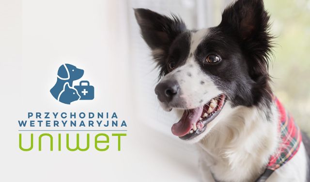 Przychodnia Weterynaryjna UNIWET