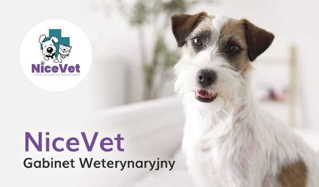 NiceVet Gabinet Weterynaryjny lek. wet. Marta Toporek