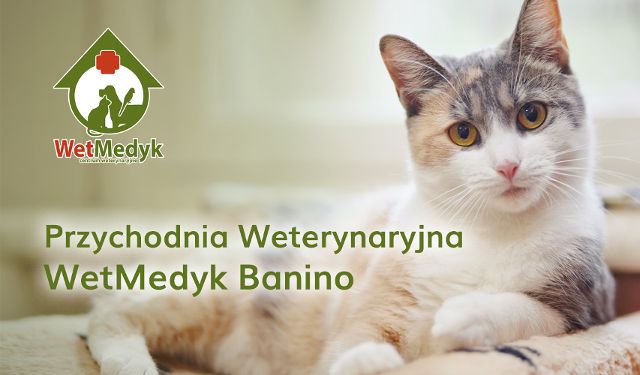 Przychodnia Weterynaryjna WetMedyk, Banino