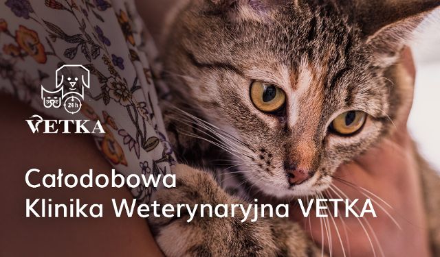 Całodobowa Klinika Weterynaryjna VETKA
