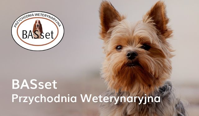 Przychodnia Weterynaryjna Basset
