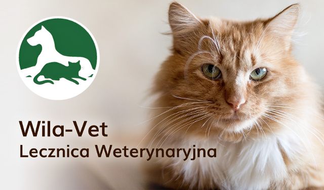 Lecznica Weterynaryjna Wila-Vet