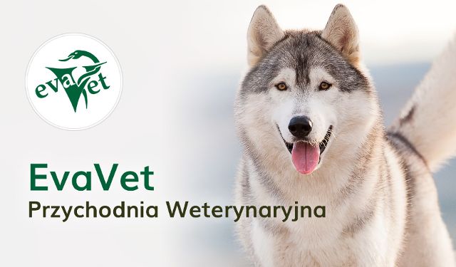 Przychodnia Weterynaryjna EvaVet