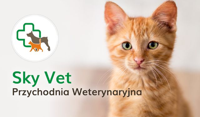 Przychodnia Weterynaryjna SKY VET
