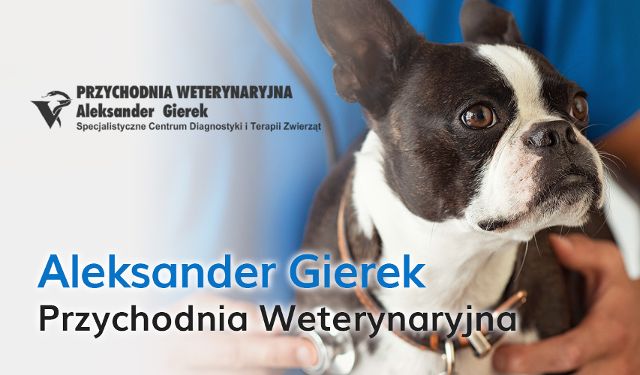 Przychodnia Weterynaryjna Aleksander Gierek