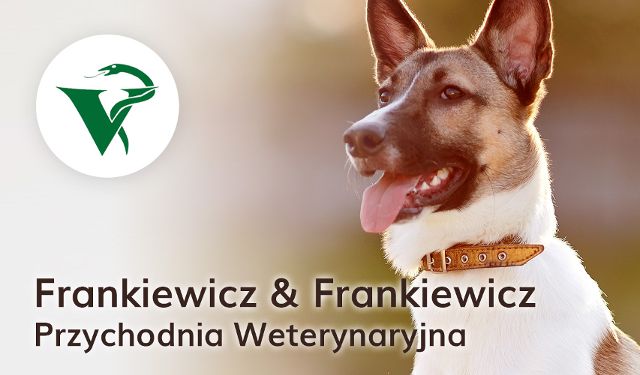 Przychodnia Weterynaryjna FRANKIEWICZ & FRANKIEWICZ