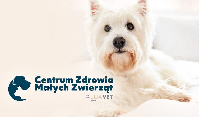 Centrum Zdrowia Małych Zwierząt Grupa LUXVET