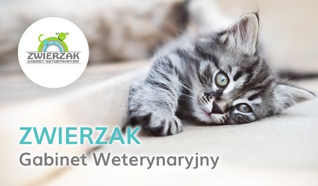 Zwierzak Gabinet Weterynaryjny s.c.