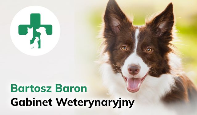 Gabinet Weterynaryjny Bartosz Baron