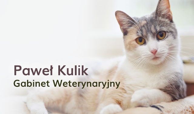 Gabinet Weterynaryjny dr n. wet. Paweł Kulik