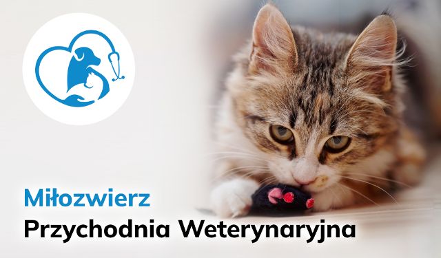 Przychodnia Weterynaryjna Miłozwierz