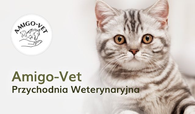 Przychodnia Weterynaryjna Amigo-Vet 