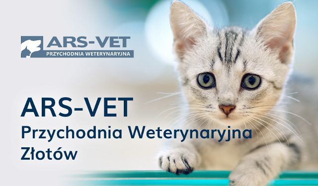 Przychodnia Weterynaryjna ARS-VET oddział Złotów