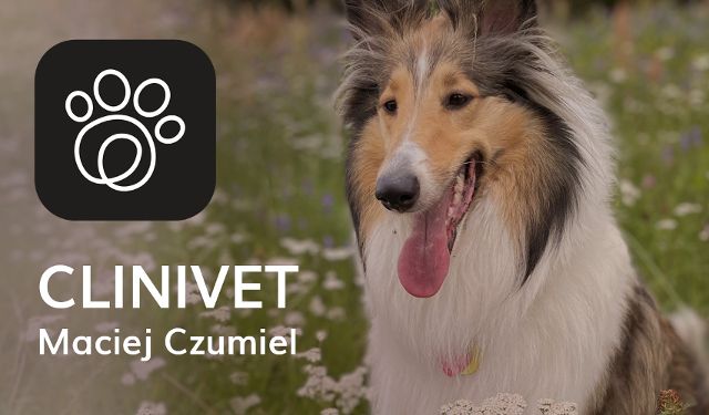 Przychodnia Weterynaryjna CliniVet