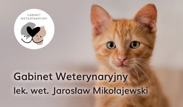 Gabinet Weterynaryjny w Skarszewach