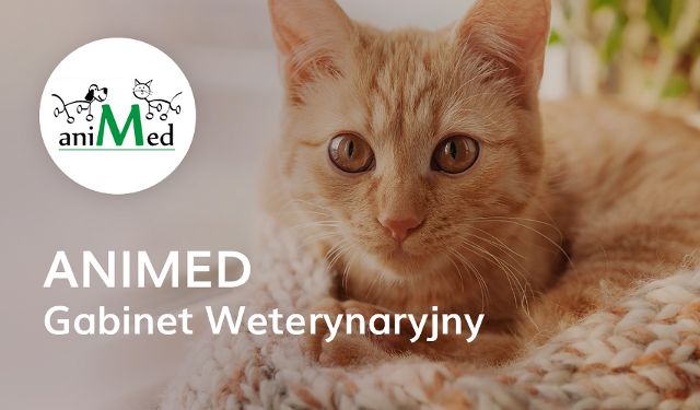 Gabinet Weterynaryjny Animed