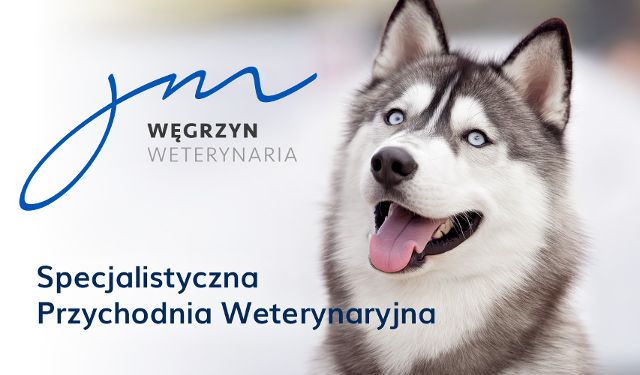 Specjalistyczna Przychodnia Weterynaryjna Węgrzyn Weterynaria