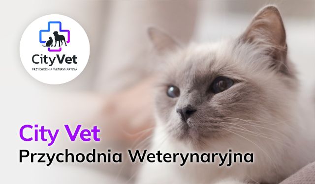 Przychodnia Weterynaryjna CITY VET