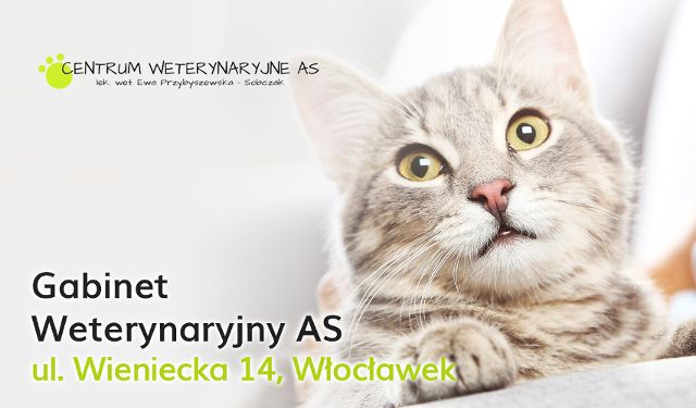 Gabinet Weterynaryjny AS 
