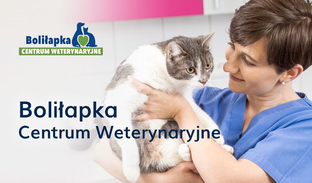 Centrum Weterynaryjne Boliłapka 