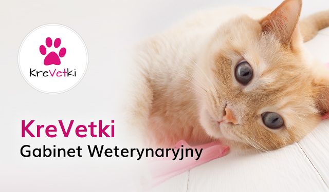 Gabinet Weterynaryjny Krevetki