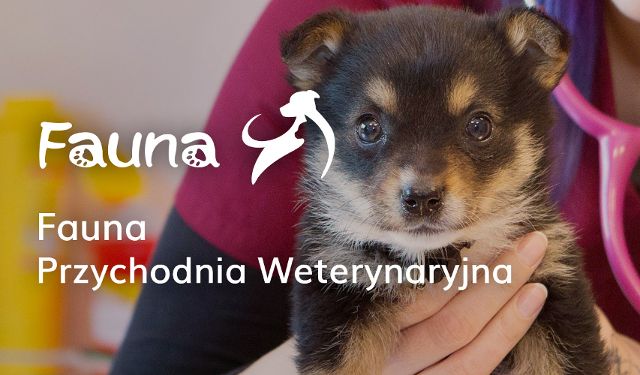 Przychodnia weterynaryjna Fauna s.c.