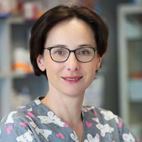 lek.wet. Katarzyna Szafran-Borowy