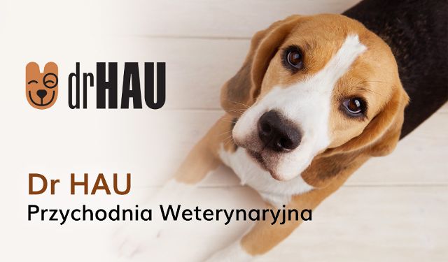 Przychodnia Weterynaryjna Dr Hau 