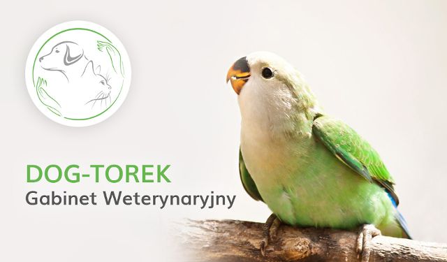 Gabinet Weterynaryjny DOG-TOREK