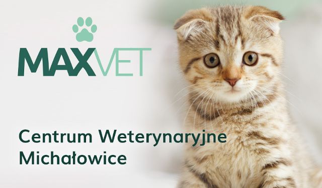 Centrum Weterynaryjne Maxvet oddział Michałowice