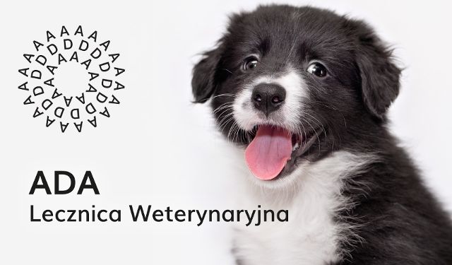 Lecznica weterynaryjna ADA