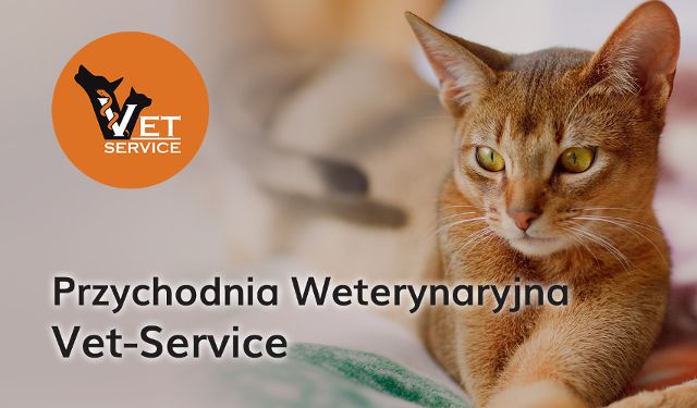 Przychodnia Weterynaryjna Vet-Service