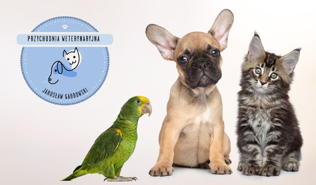 Przychodnia Weterynaryjna Jarosław Garbowski