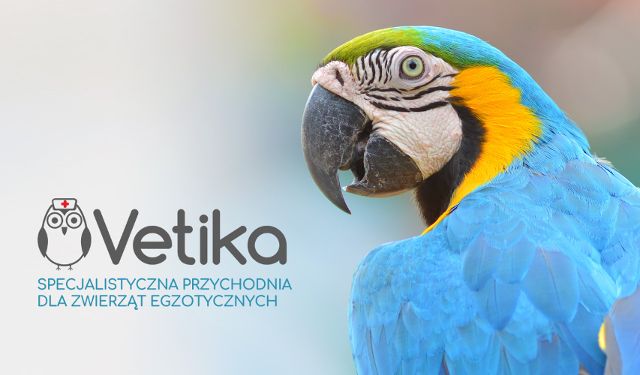 Specjalistyczna przychodnia dla zwierząt egzotycznych Vetika