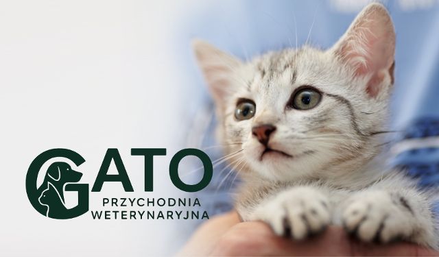 Przychodnia weterynaryjna GATO