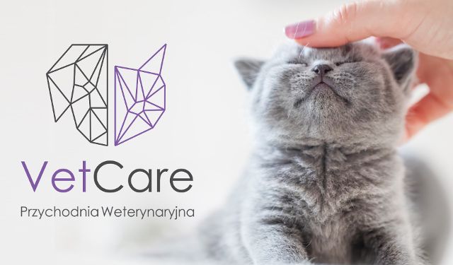 Przychodnia weterynaryjna VETCARE