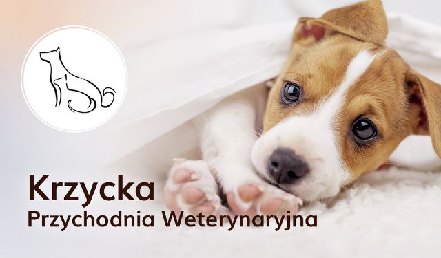 Przychodnia Weterynaryjna Krzycka