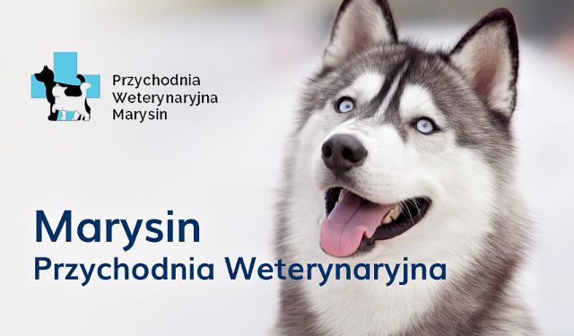 Przychodnia Weterynaryjna Marysin